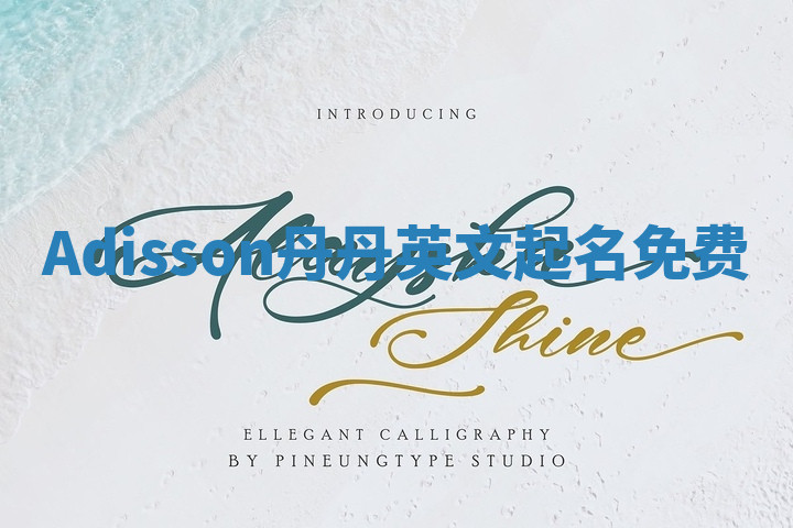 Adisson丹丹英文起名免费 Adisson丹丹英文起名免费