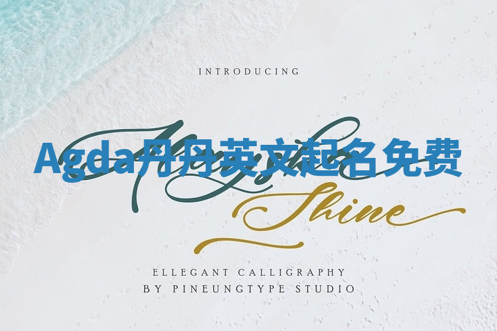 Agda丹丹英文起名免费