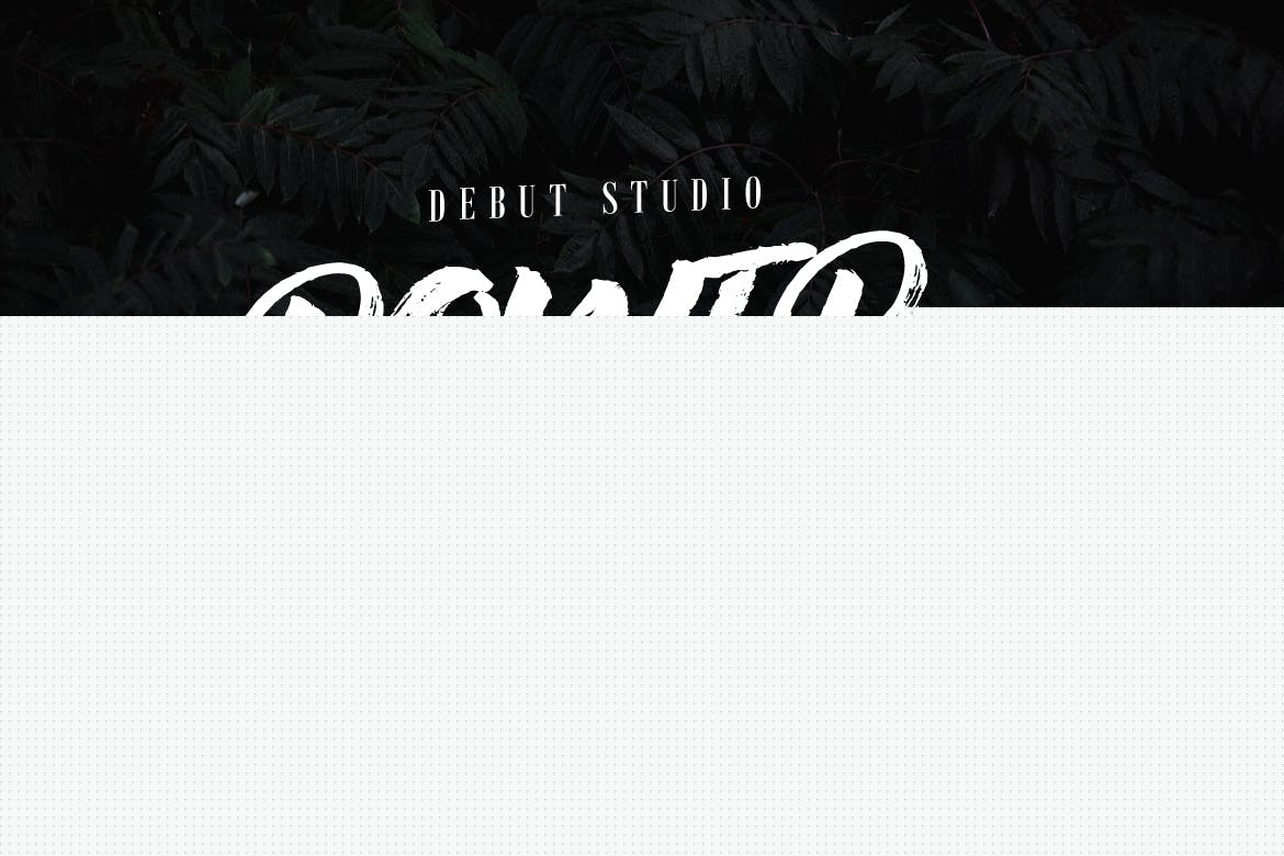 Anemone丹丹英文起名免费 Anemone丹丹英文起名免费