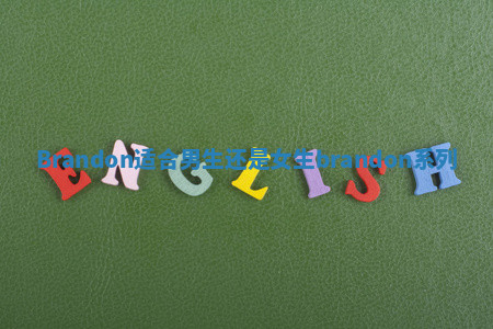 Brandon适合男生还是女生 brandon系列