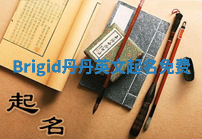 Brigid丹丹英文起名免费