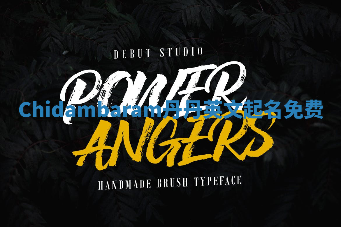 Chidambaram丹丹英文起名免费