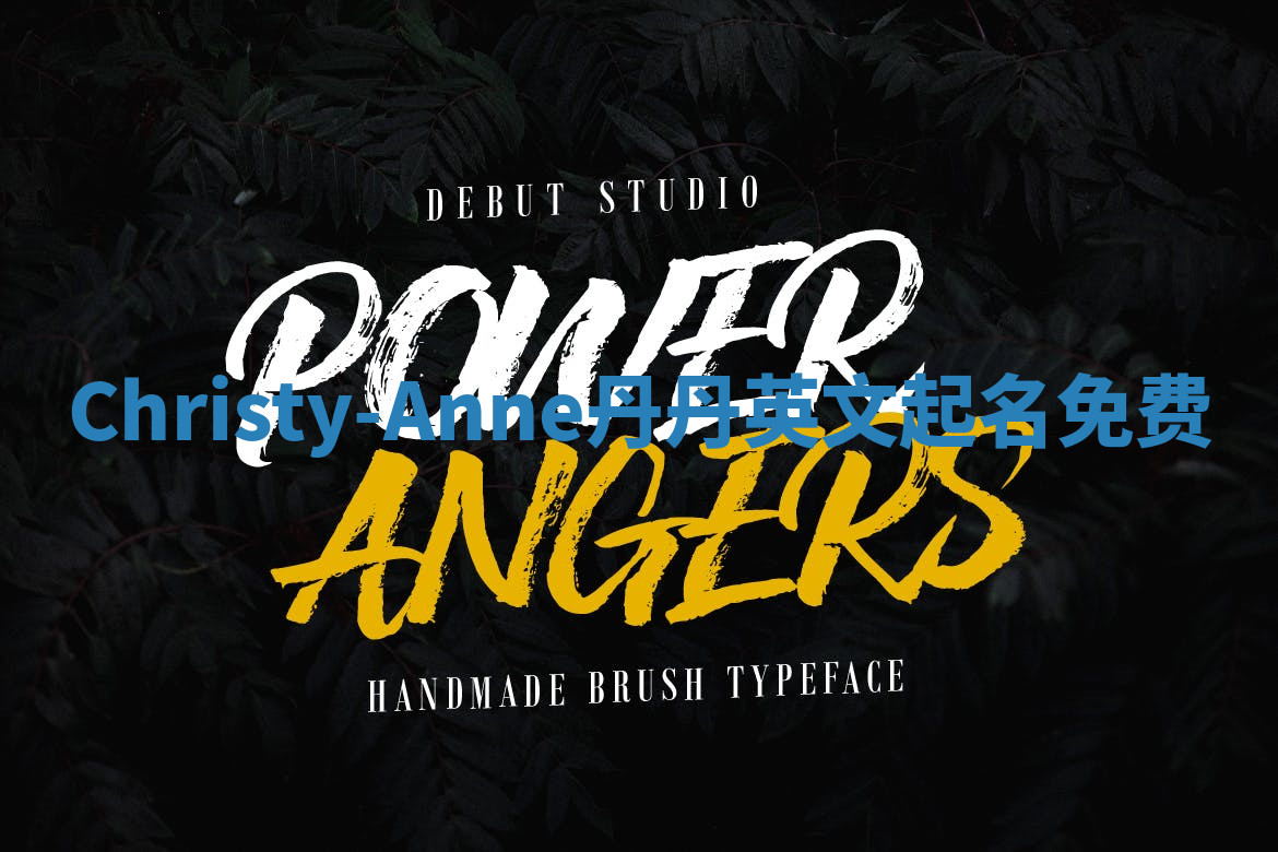 Christy-Anne丹丹英文起名免费 Christy-Anne丹丹英文起名免费