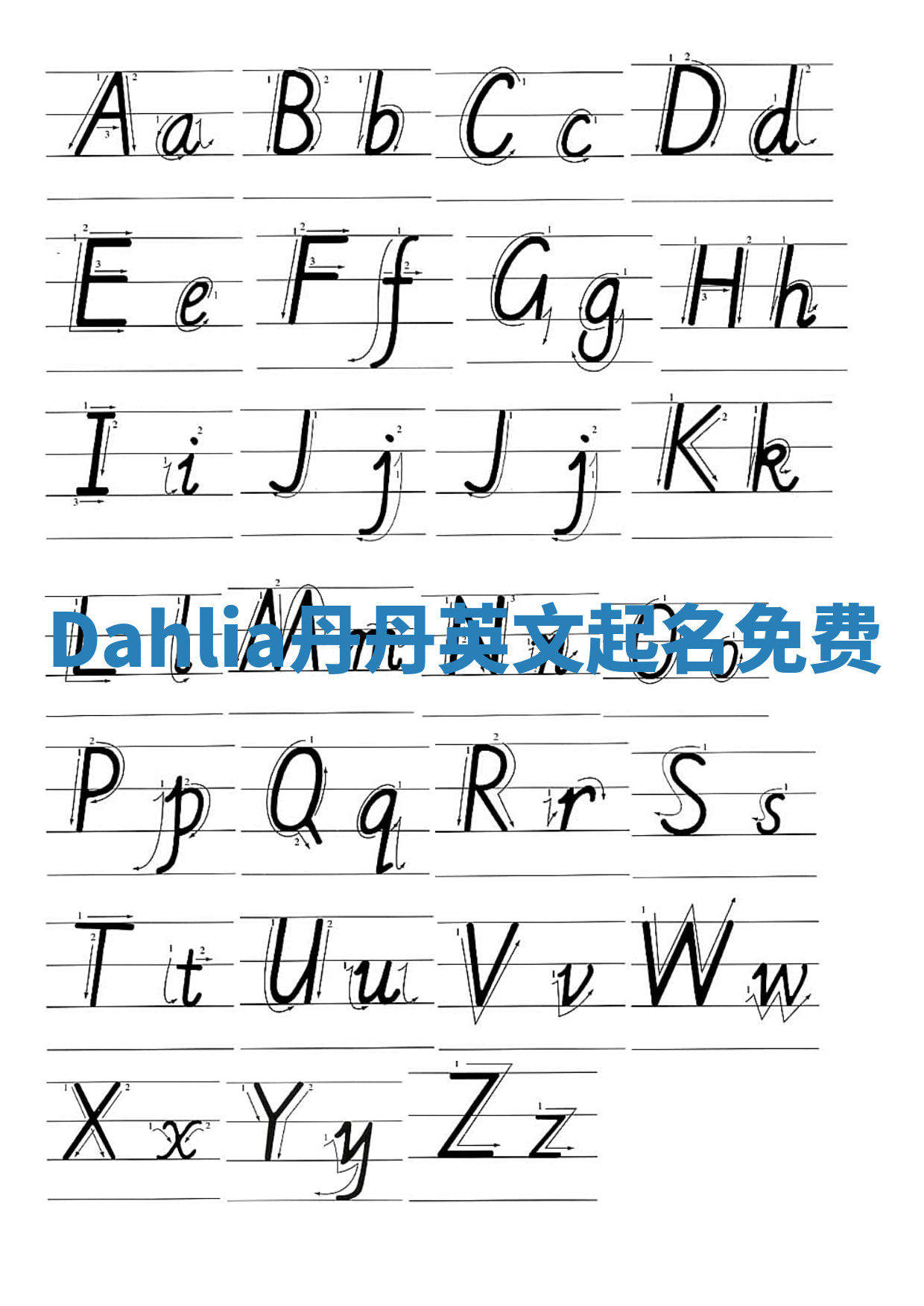 Dahlia丹丹英文起名免费 Dahlia丹丹英文起名免费