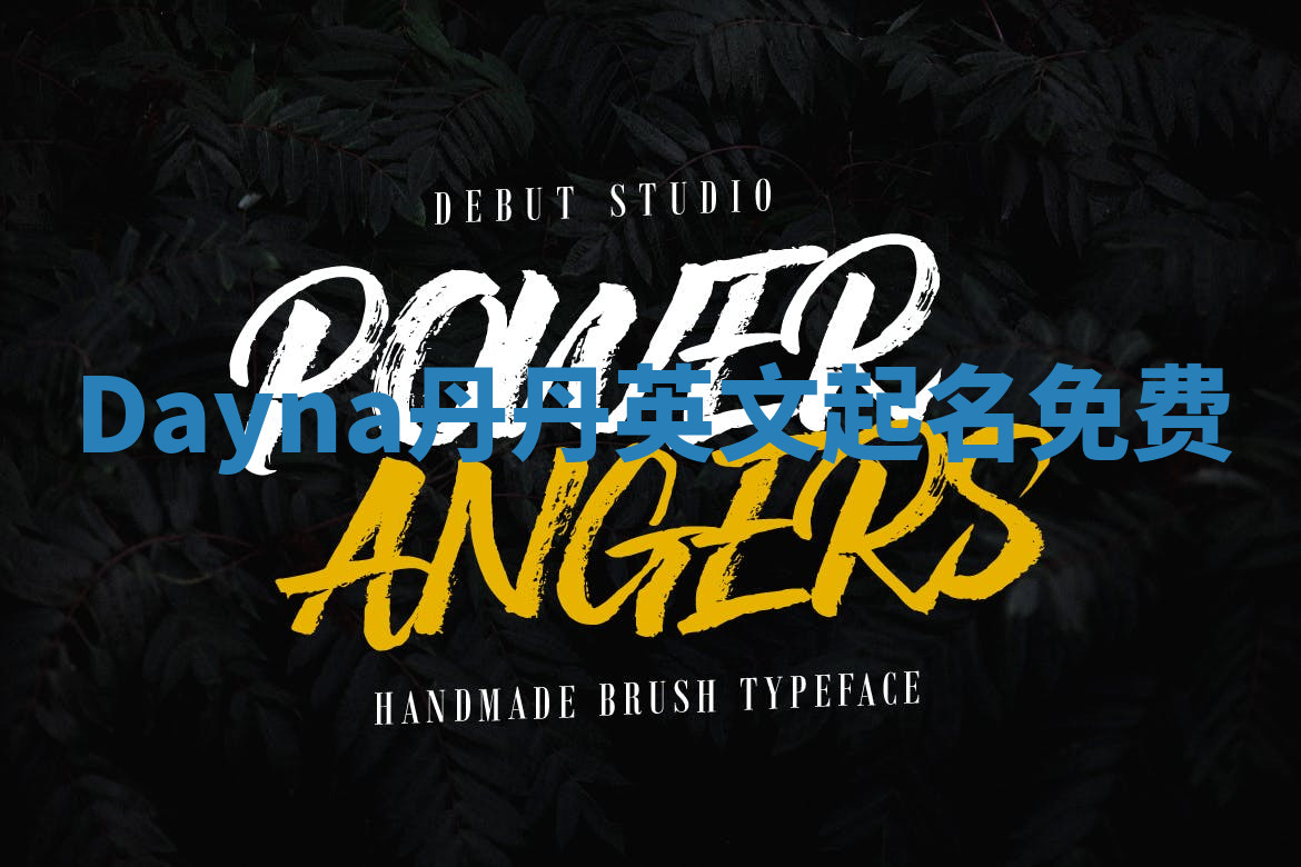 Dayna丹丹英文起名免费