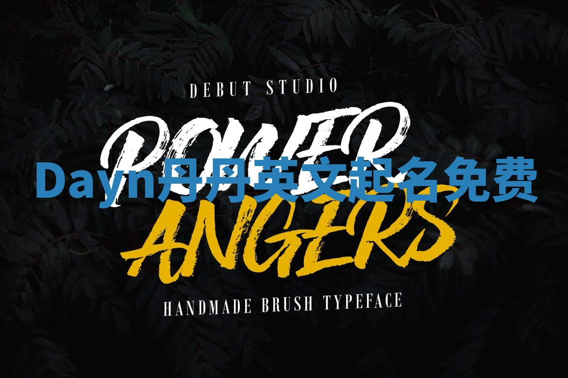Dayn丹丹英文起名免费