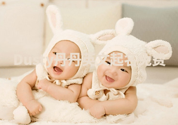 Dusty丹丹英文起名免费