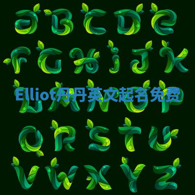 Elliot丹丹英文起名免费