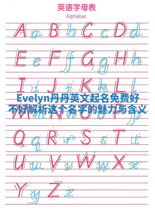 Evelyn丹丹英文起名免费好不好 解析这个名字的魅力与含义