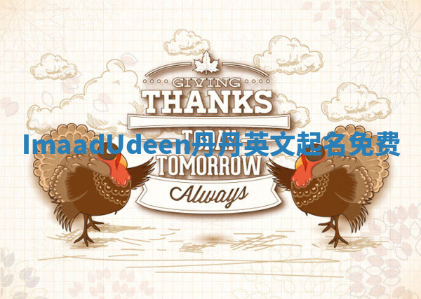 ImaadUdeen丹丹英文起名免费