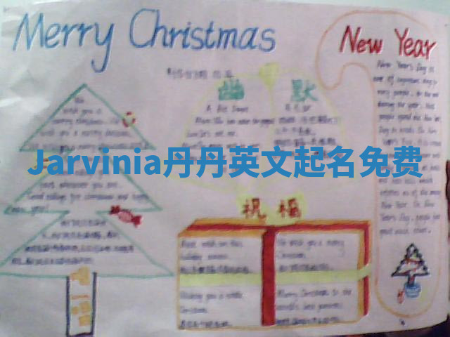 Jarvinia丹丹英文起名免费