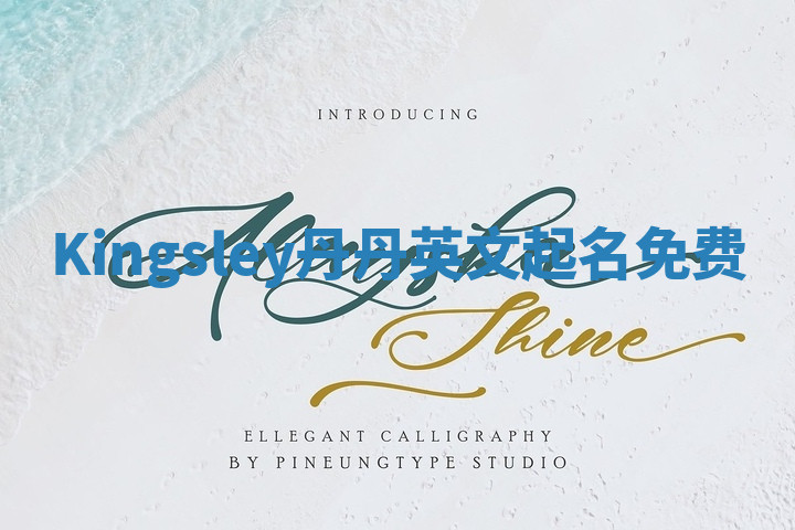 Kingsley丹丹英文起名免费