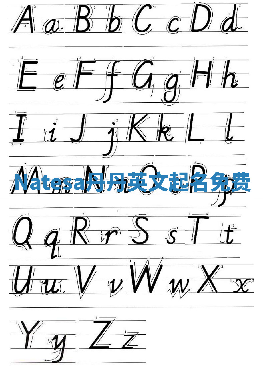 Natesa丹丹英文起名免费