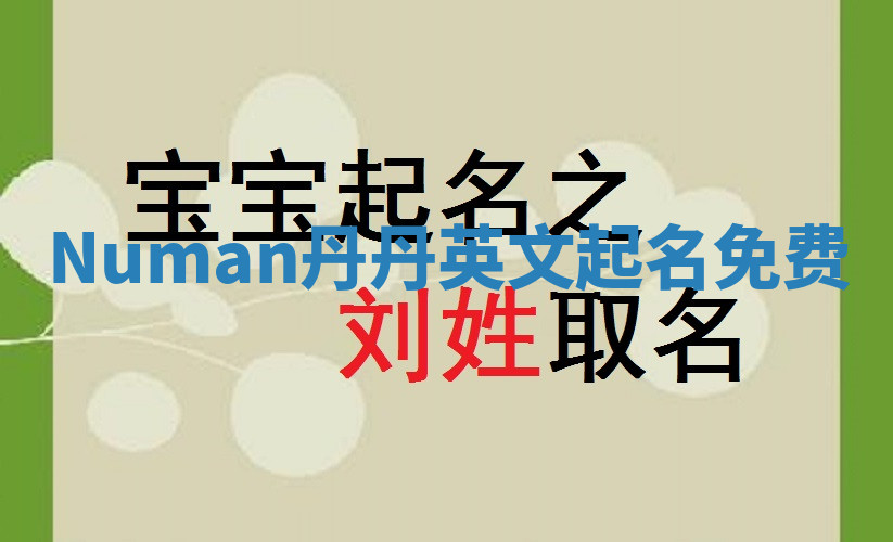Numan丹丹英文起名免费
