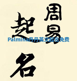 Palmina丹丹英文起名免费