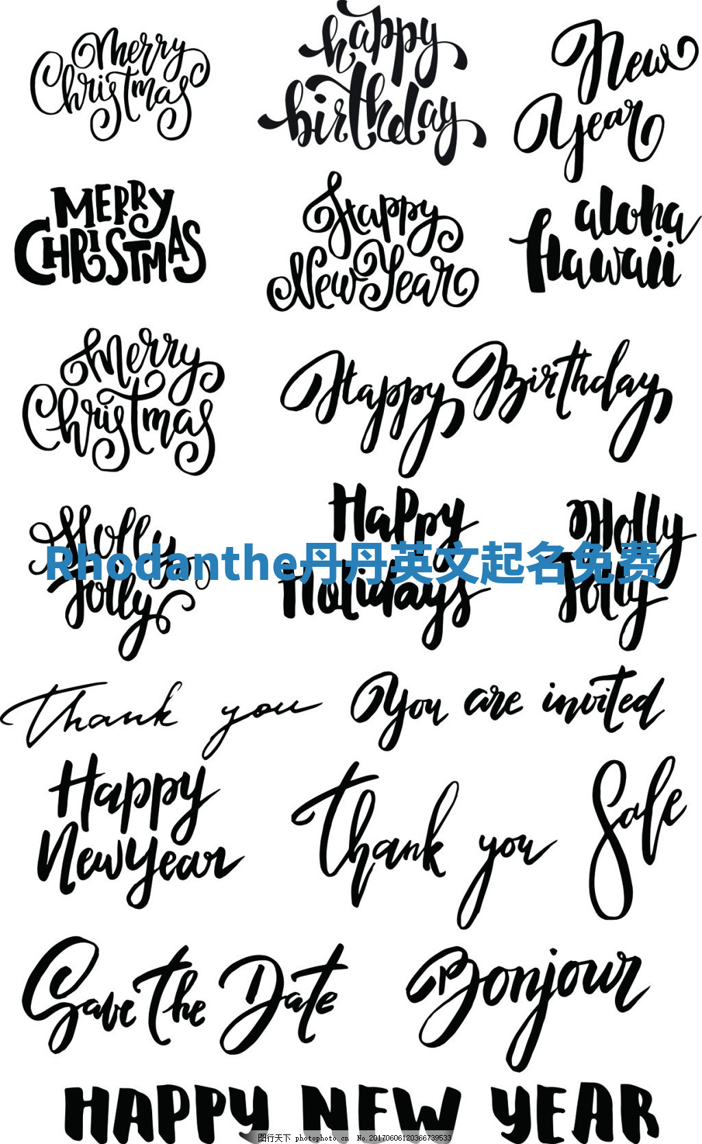 Rhodanthe丹丹英文起名免费 Rhodanthe丹丹英文起名免费