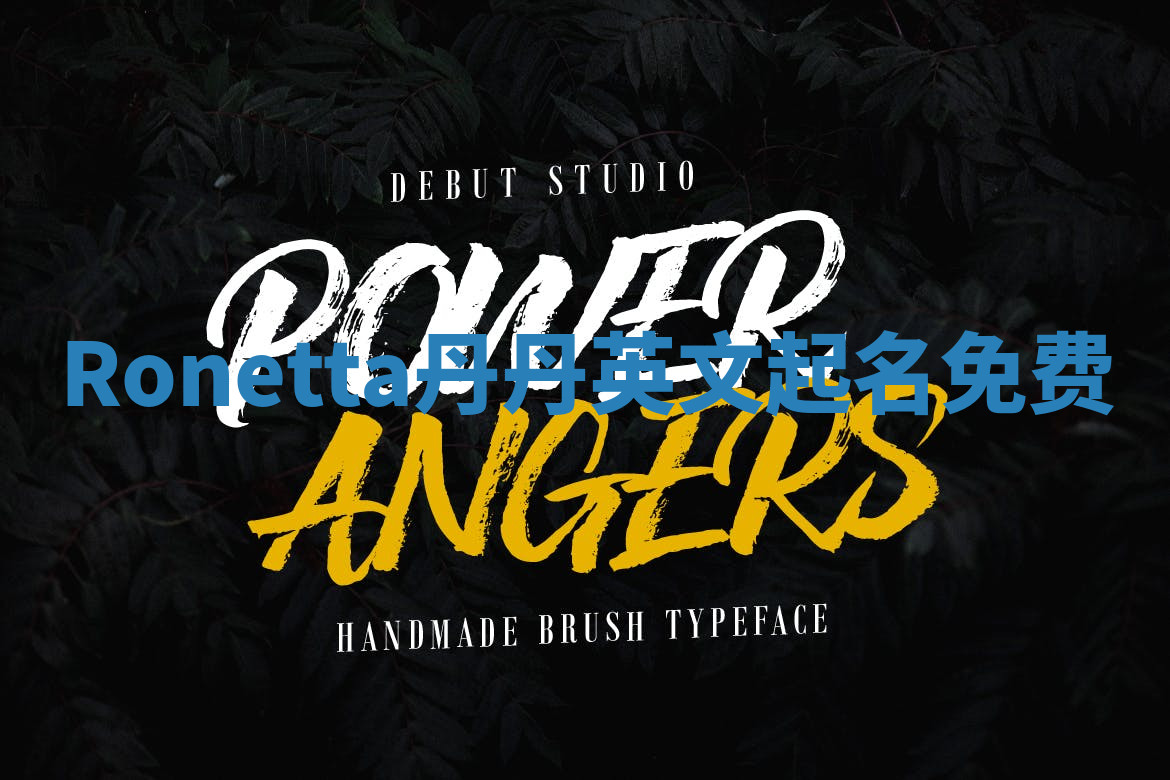 Ronetta丹丹英文起名免费 Ronetta丹丹英文起名免费