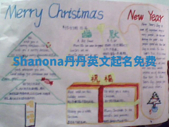 Shanona丹丹英文起名免费