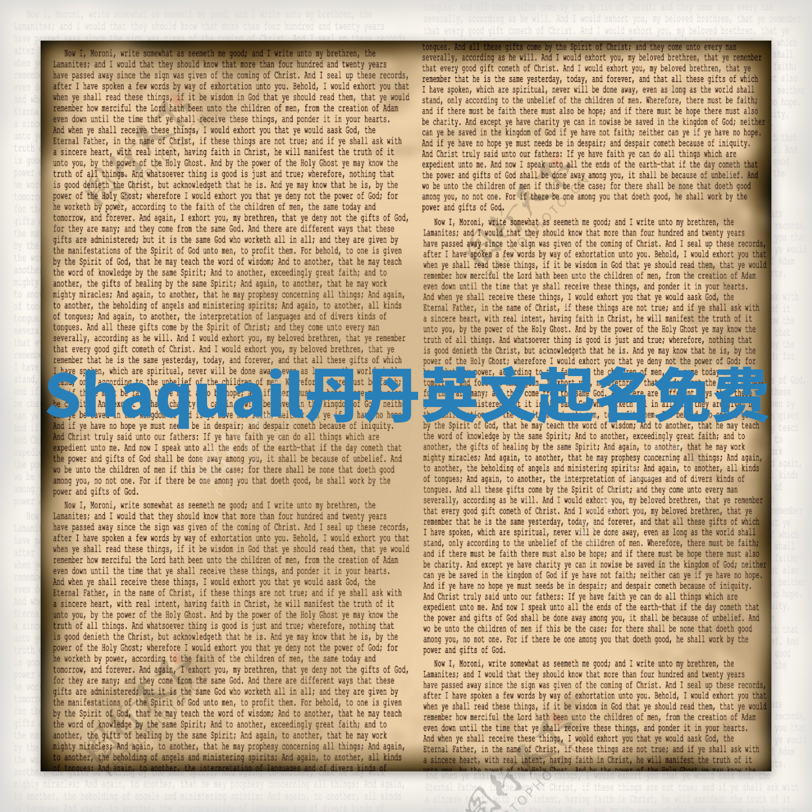 Shaquail丹丹英文起名免费 Shaquail丹丹英文起名免费