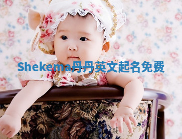 Shekema丹丹英文起名免费