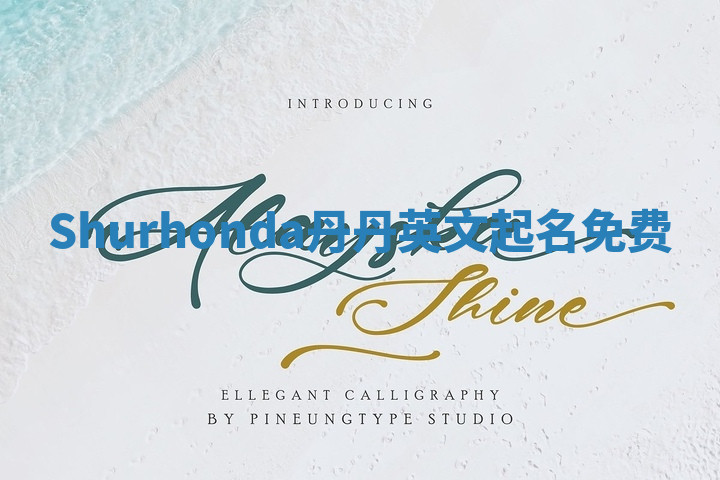Shurhonda丹丹英文起名免费