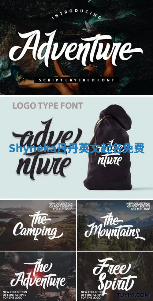 Shyneka丹丹英文起名免费