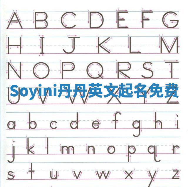 Soyini丹丹英文起名免费