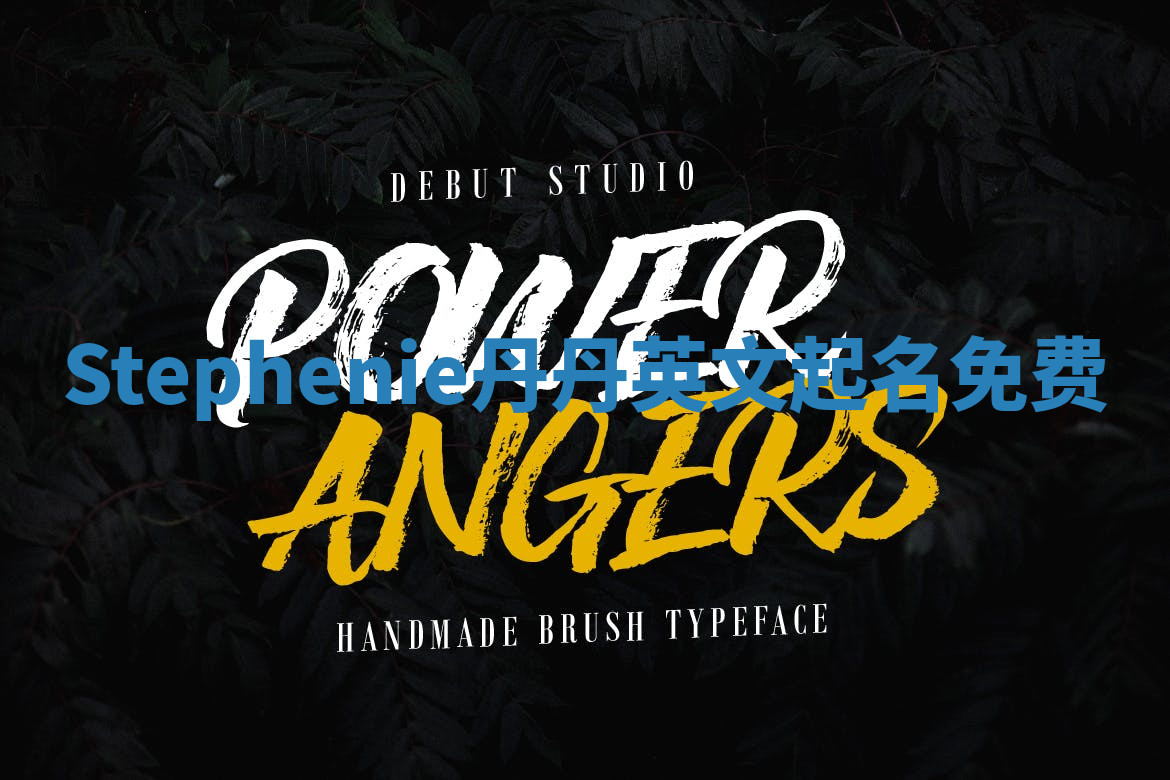 Stephenie丹丹英文起名免费 Stephenie丹丹英文起名免费