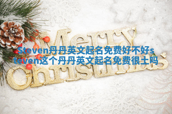Steven丹丹英文起名免费好不好 steven这个丹丹英文起名免费很土吗