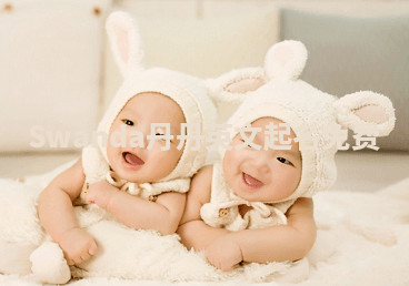 Swanda丹丹英文起名免费 Swanda丹丹英文起名免费