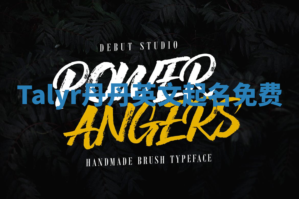 Talyr丹丹英文起名免费