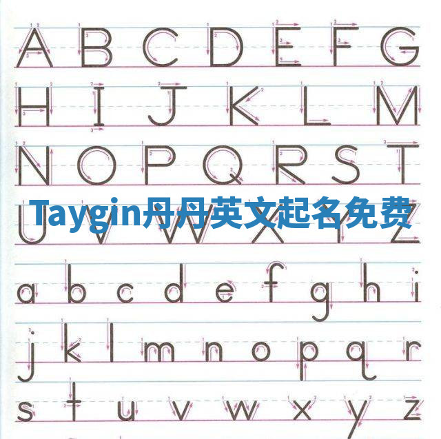 Taygin丹丹英文起名免费 Taygin丹丹英文起名免费