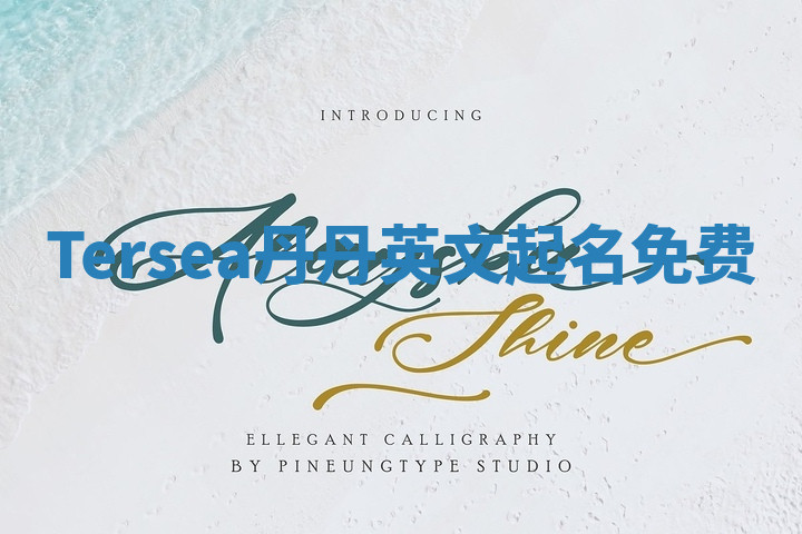 Tersea丹丹英文起名免费