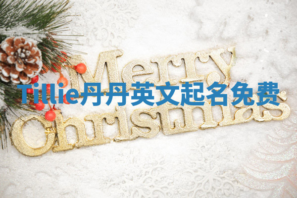 Tillie丹丹英文起名免费