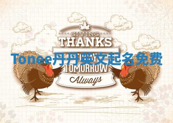 Tonee丹丹英文起名免费