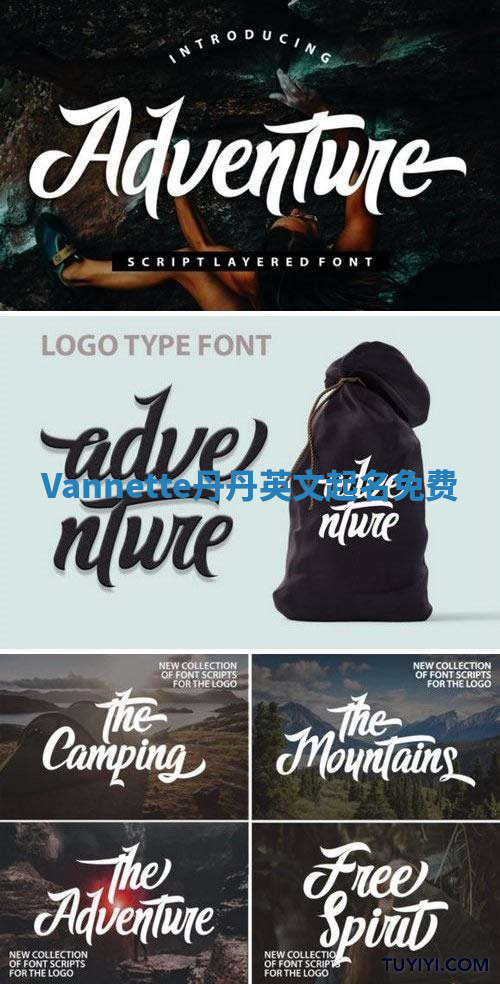 Vannette丹丹英文起名免费