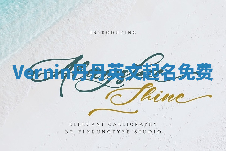 Vernin丹丹英文起名免费