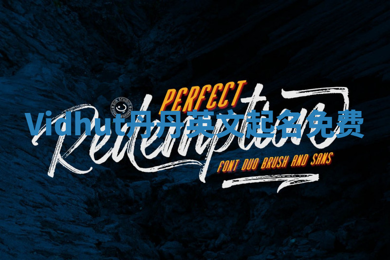 Vidhut丹丹英文起名免费 Vidhut丹丹英文起名免费