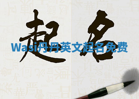 Wasi丹丹英文起名免费