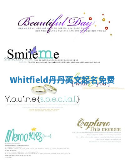 Whitfield丹丹英文起名免费